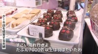 「少なく見積もって2000億匹」アメリカに“セミゲドン”襲来　セミケーキやセミアートで大盛り上がり