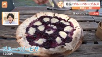 ブルーベリーの収穫量日本一は意外にも東京！そのワケは？絶品ブルーベリーピザも味わえる！茨城・つくば市の農園をすたすた！