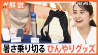 暑さ乗り切る夏のひんやりグッズ新定番登場　体重計のような扇風機に熱帯夜にオススメ！水流快眠マット【Nスタ解説】