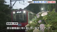 箱根の風物詩　箱根登山電車「夜のあじさい号」きょうから運行開始