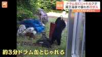 危険！各地でクマ出没！栃木・日光市ではドラム缶にじゃれつくクマが！