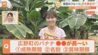 バナナを東北で！？特産のバナナの名前が驚きの長さ！寒さに耐えられる特殊技術で6年前から栽培！福島・広野町の農園をすたすた！