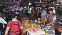 犬肉を食べるのは伝統文化か、動物虐待か？中国の「犬肉祭り」に行ってみた