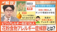 花粉食物アレルギー症候群とは？ 給食のビワ食べ… 小･中学校の126人がアレルギー反応【Nスタ解説】