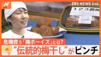“伝統的梅干し”がピンチに、日本一の梅産地で立ち上がった「梅ボーイズ」とは？【ゲキ推しさん】