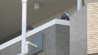 「妻を殺しました」110番通報　東京・江東区の住宅で女性が刺され死亡 夫（67）を逮捕　警視庁