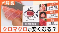 「美味しくてとろけます」マグロの王様が安くなるかも？ クロマグロ漁獲枠拡大なるか【Nスタ解説】