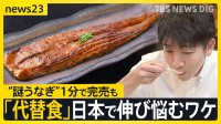 “謎うなぎ” 1分で完売も広がる代替食品に異変？ヴィーガン居酒屋「伸び悩んでいる」 街の声は…「肉がほしい」「高級志向」【news23】