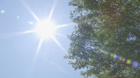 今年最多40都道府県に「熱中症警戒アラート」発表　北海道は今年初