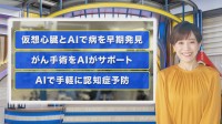 色で「がん手術の失敗を防ぐ」ものから仮想心臓で「異変を察知」まで…私たちを守る「医療AI」最先端【THE TIME,】