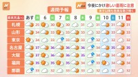 【気象予報士・解説】4日夜にかけ激しい雷雨に注意　5日以降も危険な暑さに