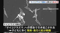 「マイコプラズマ肺炎」約8年ぶりの高水準で広がる　全国の患者数5週連続増　長引く咳が特徴