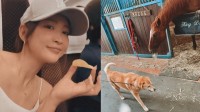 【紗栄子】ファームの保護犬と高齢馬が相次いで旅立つ 　"たくさんの方々に愛してもらったラブちゃんとブレイク"