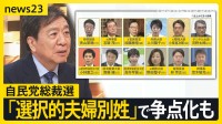 憲法改正アピールの総裁選「選択的夫婦別姓」で争点化も　“キングメーカー”たちは困っている？【news23】