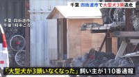 【速報】ドーベルマン・シェパード・ロットワイラー大型犬3頭が逃げ出す　千葉・四街道市