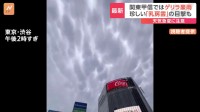 雷雨の予兆とも…「乳房雲」渋谷の街中で目撃　関東各地でゲリラ豪雨　原因は“台風”と真夏並み残暑