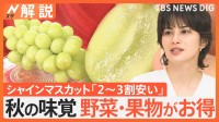 「シャインマスカットは黄色が甘い」秋の味覚の美味しい食べ方　今秋は野菜・果物がお得【Nスタ解説】