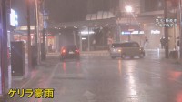 樹齢500年以上の御神木落雷で焼けたか 関東各地でゲリラ雷雨　東京都心では“最も遅い”猛暑日に　彼岸花咲かず 彼岸花祭り会場も閑散【news23】