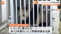 見送りに来たファン「最後、同じ空間で過ごしたい」上野動物園のパンダ“リーリー”と“シンシン”が中国へかえる