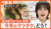 秋の味覚の王様“マツタケ”今年は？注目はブータン産「国産に近く、クセが少なく食べやすい」【Nスタ解説】