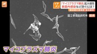 主な症状は発熱や長引く咳…マイコプラズマ肺炎が流行　1医療機関あたり2.80人と統計開始以降最多に