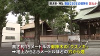 神社の樹齢250年の御神木に放火か　防犯カメラに周囲うろつく不審な人物「境内に何度か入ったり出たり…」 横浜市