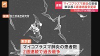 東京都　マイコプラズマ肺炎の患者数が2週連続 過去最多