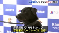 麻薬探知犬「モモタロウ」が大麻約16キロを発見　密輸しようとしたスペイン国籍の男を逮捕