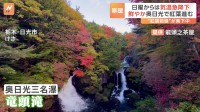 10月半ばなのに… 東京6日連続の夏日“桜が咲く異例の残暑”も日曜から気温急降下　奥日光・竜頭滝は紅葉が見頃！茨城では丘一面のコキアが真っ赤に