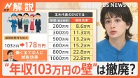 “年収103万円の壁”は撤廃？ 8兆円の減収に…財源どうする？ 自民・国民 政策協議開始へ【Nスタ解説】