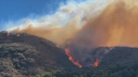 米・カリフォルニア州で大規模な山火事　80平方キロメートルが焼失