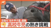 「牛のことでは負けません」青春のすべてを和牛に… 目指せ優勝！ 高校生の熱き戦い「和牛甲子園」【ゲキ推しさん】