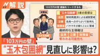 「103万円の壁」“玉木包囲網”で見直しに影響？、自民・立民・財務省 3者の思惑は…【Nスタ解説】