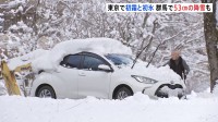 東京で「初霜」と「初氷」観測　けさの都心2.5度と今季最低の気温　群馬で積雪「こんな一晩で積もるとは」　週末にかけ「10年に一度の寒気」も