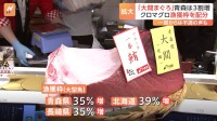 クロマグロ漁獲枠拡大で「大間マグロ」の青森は35％増加　水産庁が国内配分案を公表