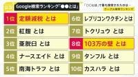 グーグル2024年「検索ランキング」　「〇〇とは」部門1位は「定額減税とは」　「103万円の壁」8位と税制度に関する検索が上位に