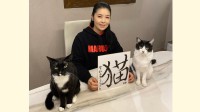 【藤あや子】#今年の漢字「猫」#6年連続6回目　愛猫マル＆オレオのカメラ目線にフォロワー感嘆