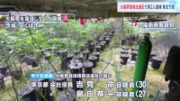 「大麻草栽培規制法」違反の疑い　東北で初の摘発　末端価格1億円超　大麻栽培の疑いで東京都の男2人逮捕