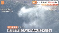 栃木・鹿沼市で山火事　樹木など約2800平方メートルが焼ける