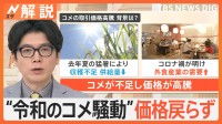 「事件と言って良い」キャベツ高騰で1玉400円超　“令和のコメ騒動”価格戻らず…今買うべき食材は？【Nスタ解説】