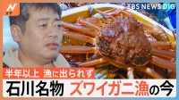 「俺は漁師をがんばるしかない」ズワイガニ漁　水揚げができる喜びと不安　能登半島地震