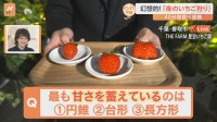 ロマンティックなムードの中で楽しめる「夜のいちご狩り」 採れたてのいちごを使った豪華ディナーも！【すたすた中継】