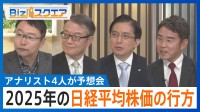 2025年の日経平均株価の行方は？プロ4人が予想　巳年の相場の格言は「辰巳天井」…史上最高値の更新なるか【Bizスクエア】