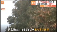 【速報】東京でスギ花粉の飛散始まる　1985年の調査開始以来最速