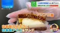 “ご当地冷凍食品”にフィーバー到来か？故郷の味から老舗の味まで続々登場のワケ【THE TIME,】