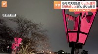 各地で雷雨＆ひょうも…桜祭りの準備を直撃 “フィルムビリビリ”400個近くの「ぼんぼり」が被害