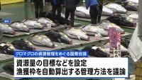 太平洋クロマグロの国際会議始まる　新たな資源管理方法など議論