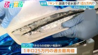 「サンマ」初競り 1キロ25万円！サイズ“大きめ”今後の水揚げの見通しは？【ひるおび】