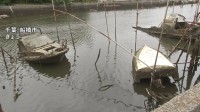 沈没船だらけの“船の墓場”に行政代執行「いつの間にか沈んでしまって」不法係留船の所有者を直撃！