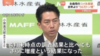 今年のコメ生産量“56万トン増”の見込み 小泉農林水産大臣　生産面積も10万4000ヘクタール増 過去5年間で最大になる見込み
